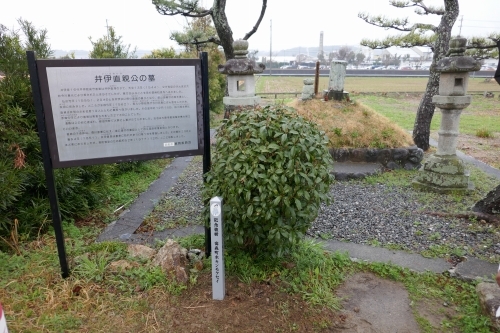設置完了1
