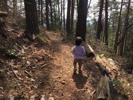 (写真)森林浴遊歩道を歩く子ども