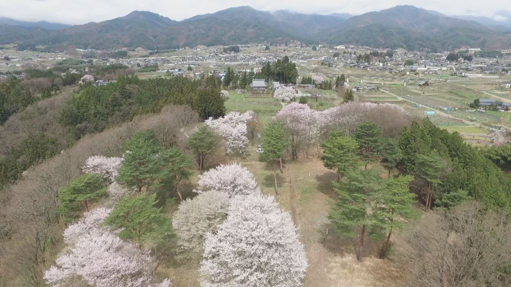 松源寺と松岡城跡3