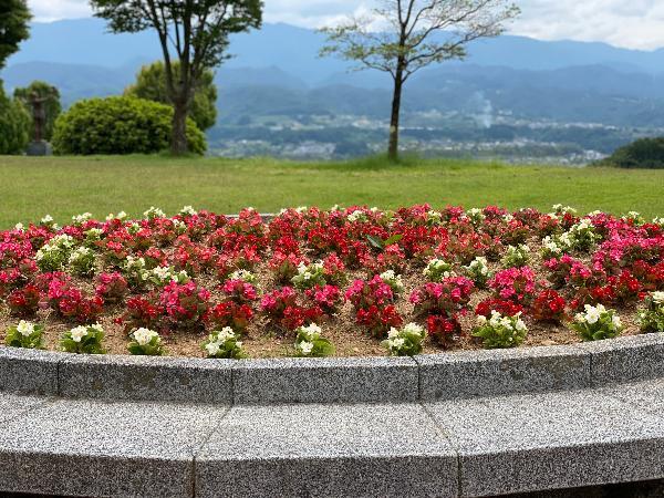 丸山公園花壇