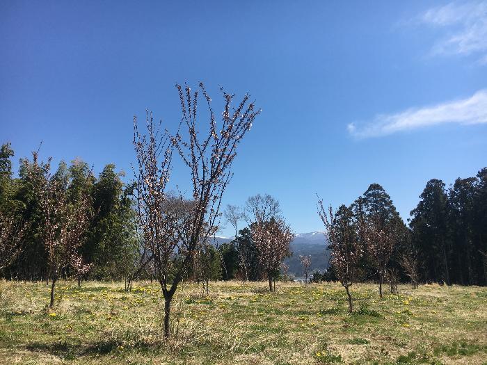古城