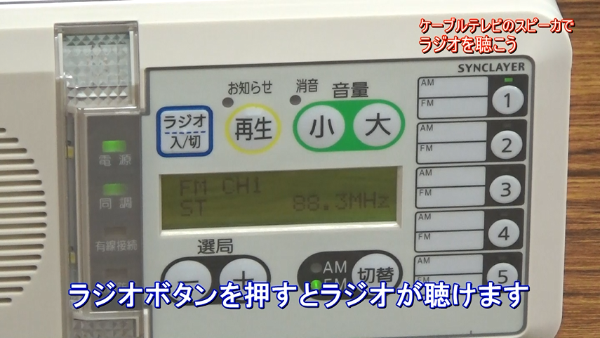 写真4