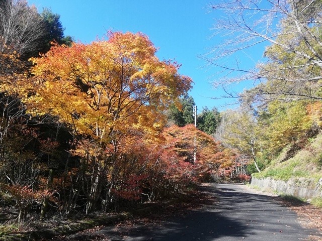 R2湯ヶ洞森林公園