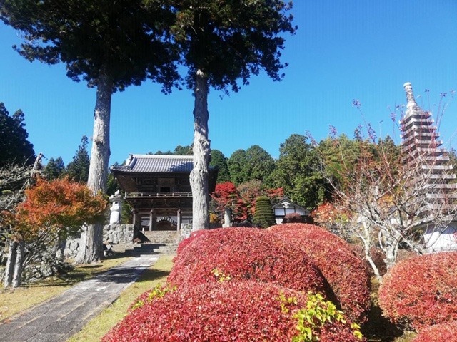 隣政寺
