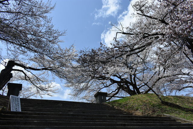 DSC_0284.JPG