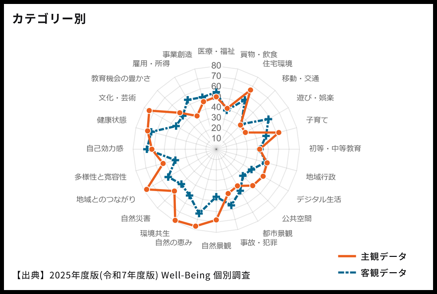 2025年度版(令和7年度版) Well-Being 個別調査_長野県高森町_カテゴリー別.png