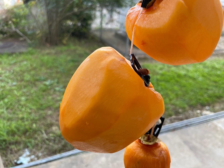 photo_20251104-032740 (1).jpg