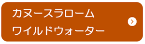カヌースラローム.png