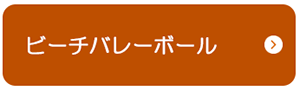 ビーチバレーボール.png